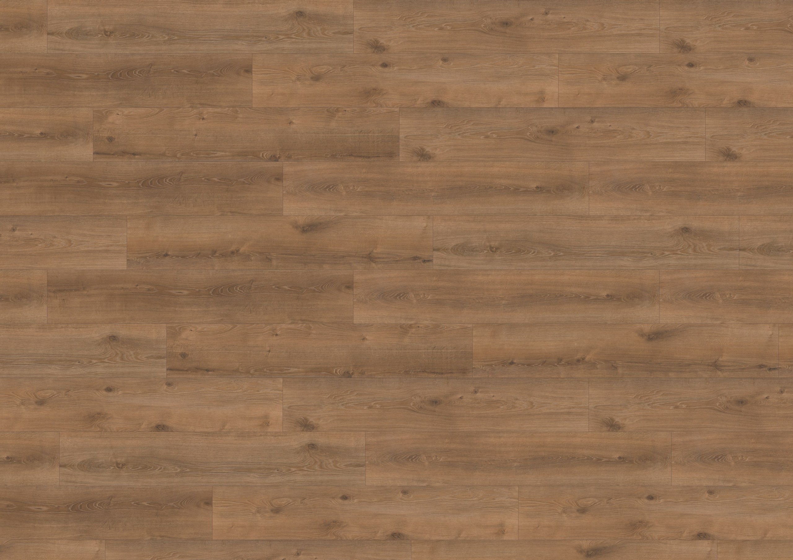 wineo 500 L Laminat Parke