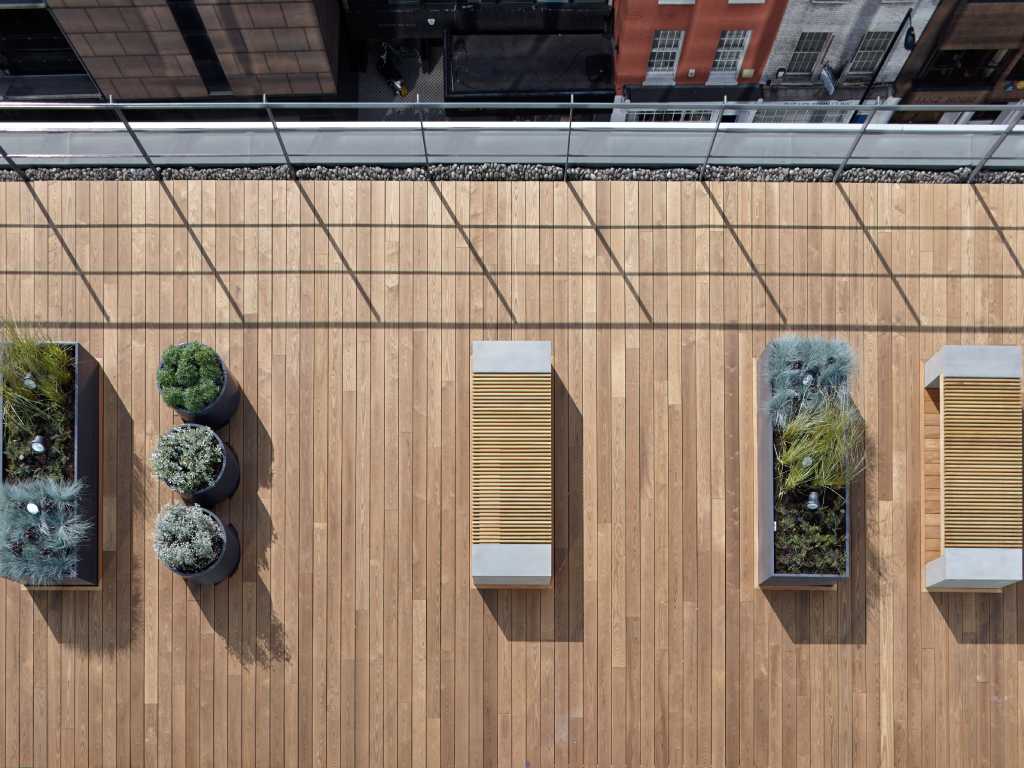 DİŞBUDAK DECK - Görsel 2