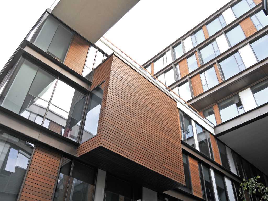 DİŞBUDAK CEPHE - Görsel 3