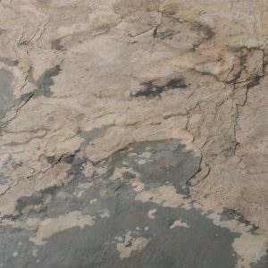 Skinrock Fresh Earth