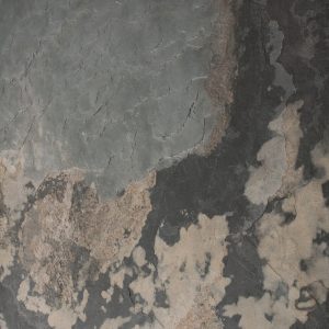 Skinrock Mother Earth