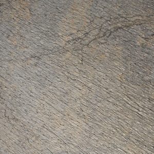 Skinrock Shining Tree