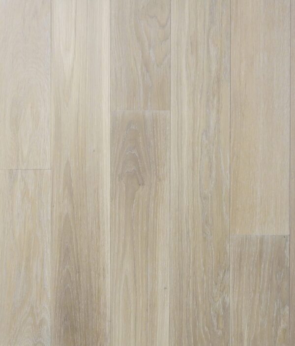 Bergen FB Hout Dar Plank