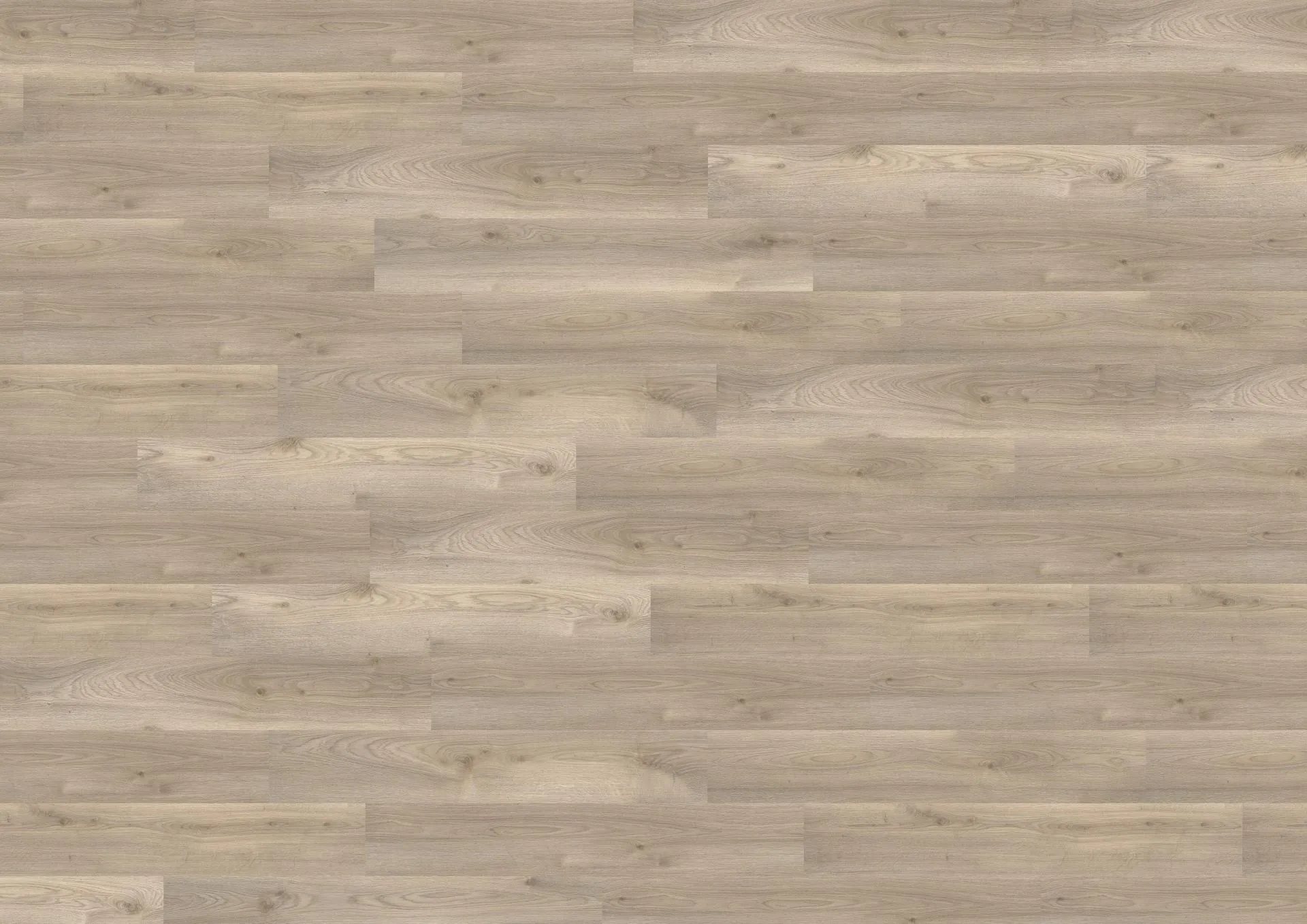 Ravenna Oak Beige - wineo 1500 - Görsel 2