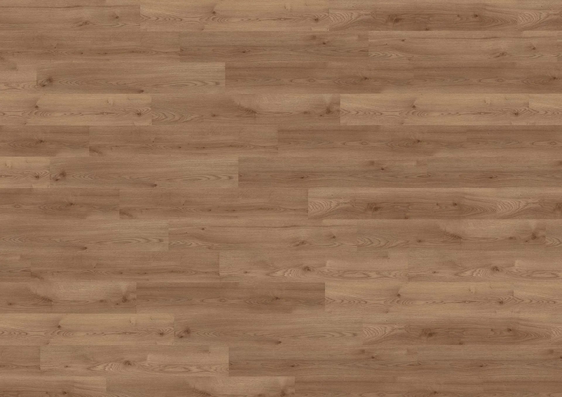 Ravenna Oak Brown - Görsel 4