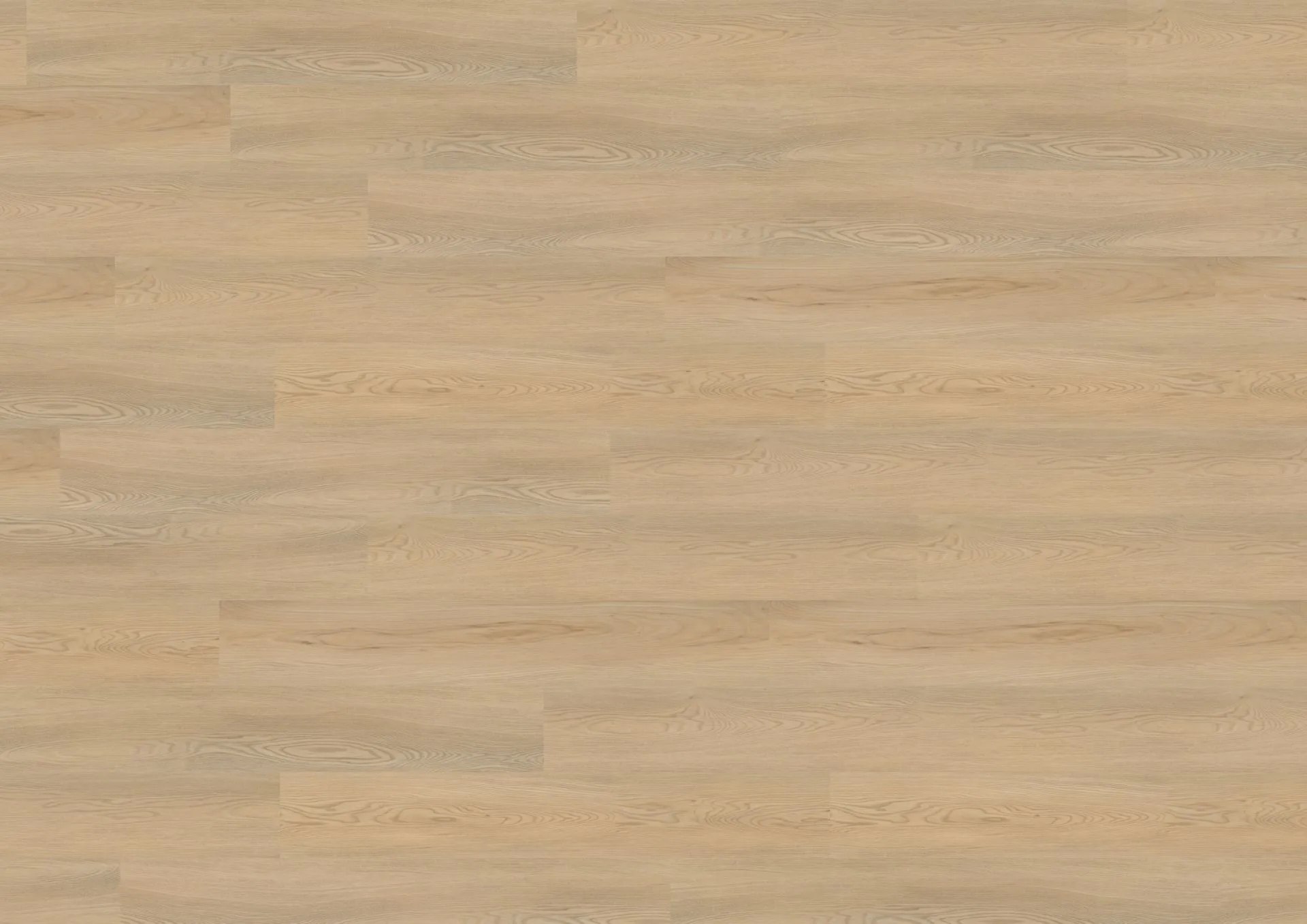 Calm Ash Beige | LVT Parke XL - Görsel 2
