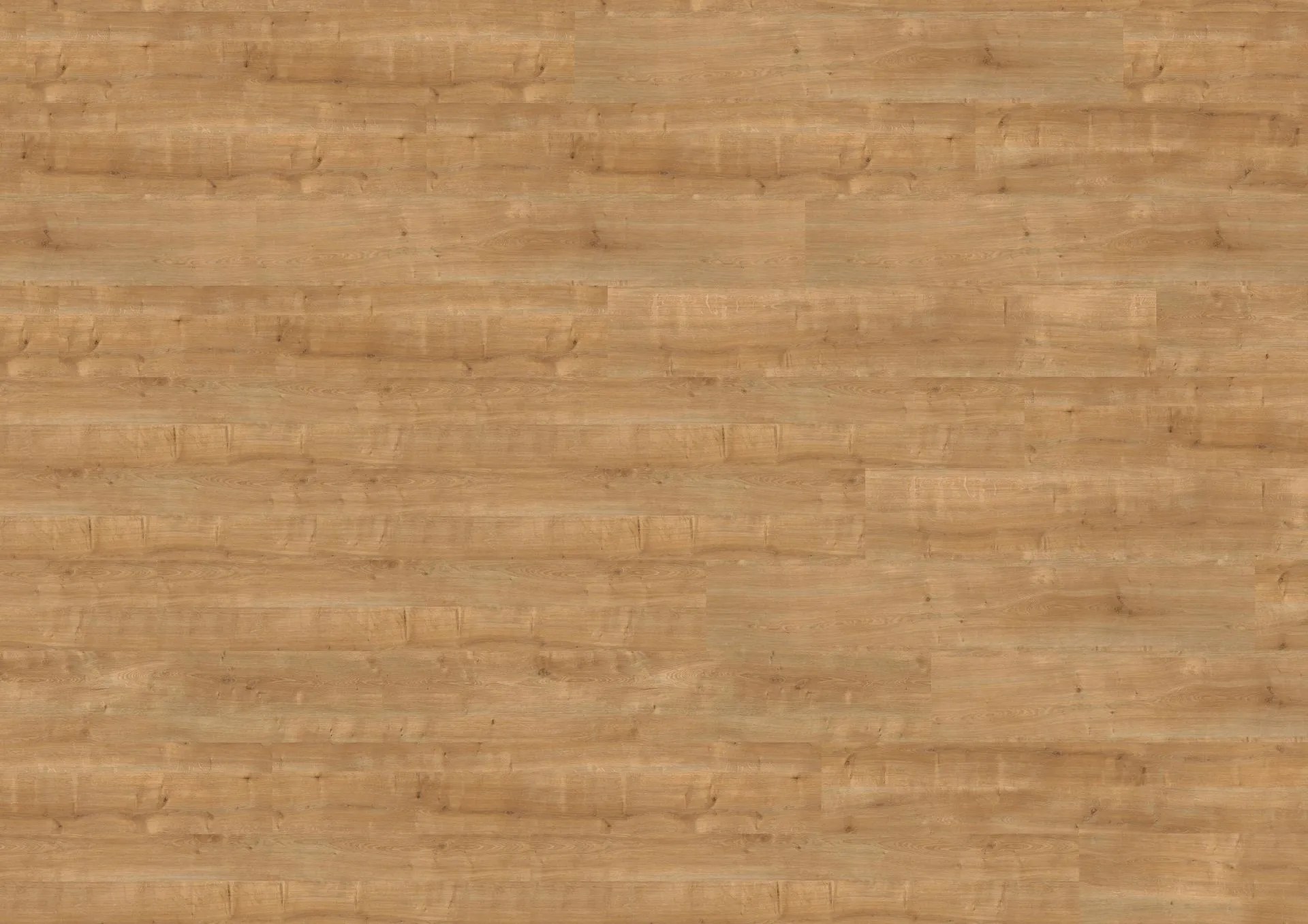 Canyon Oak Honey - wineo 1500 - Görsel 4