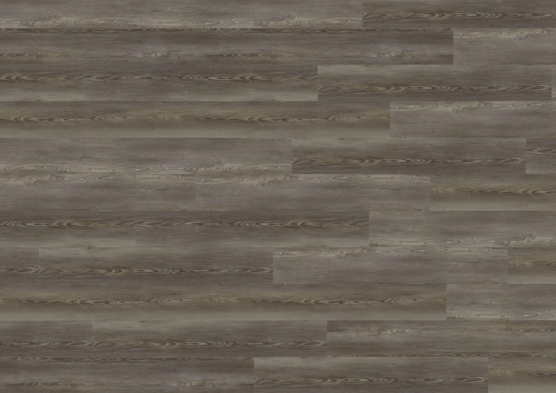 Catania Pine Grey | LVT Parke - Görsel 3
