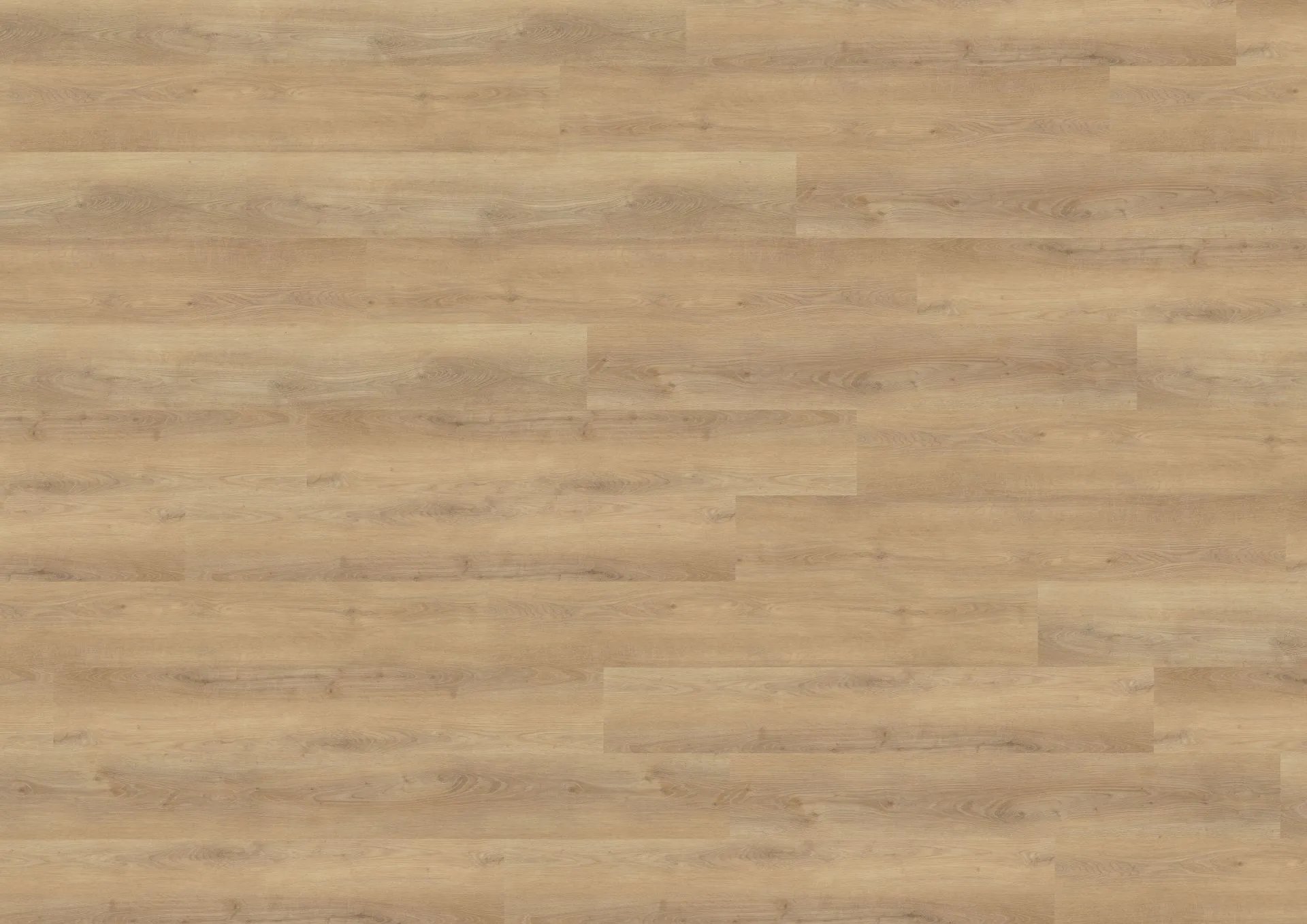 Dalen Oak Nature | LVT Parke - Görsel 4