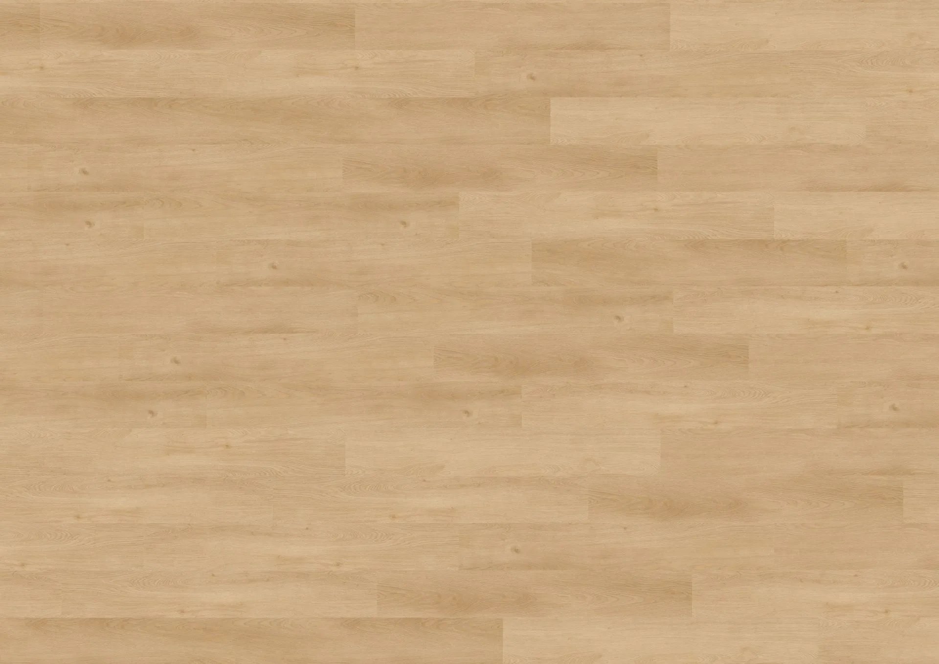 Merano Oak Nature | LVT Parke - Görsel 4