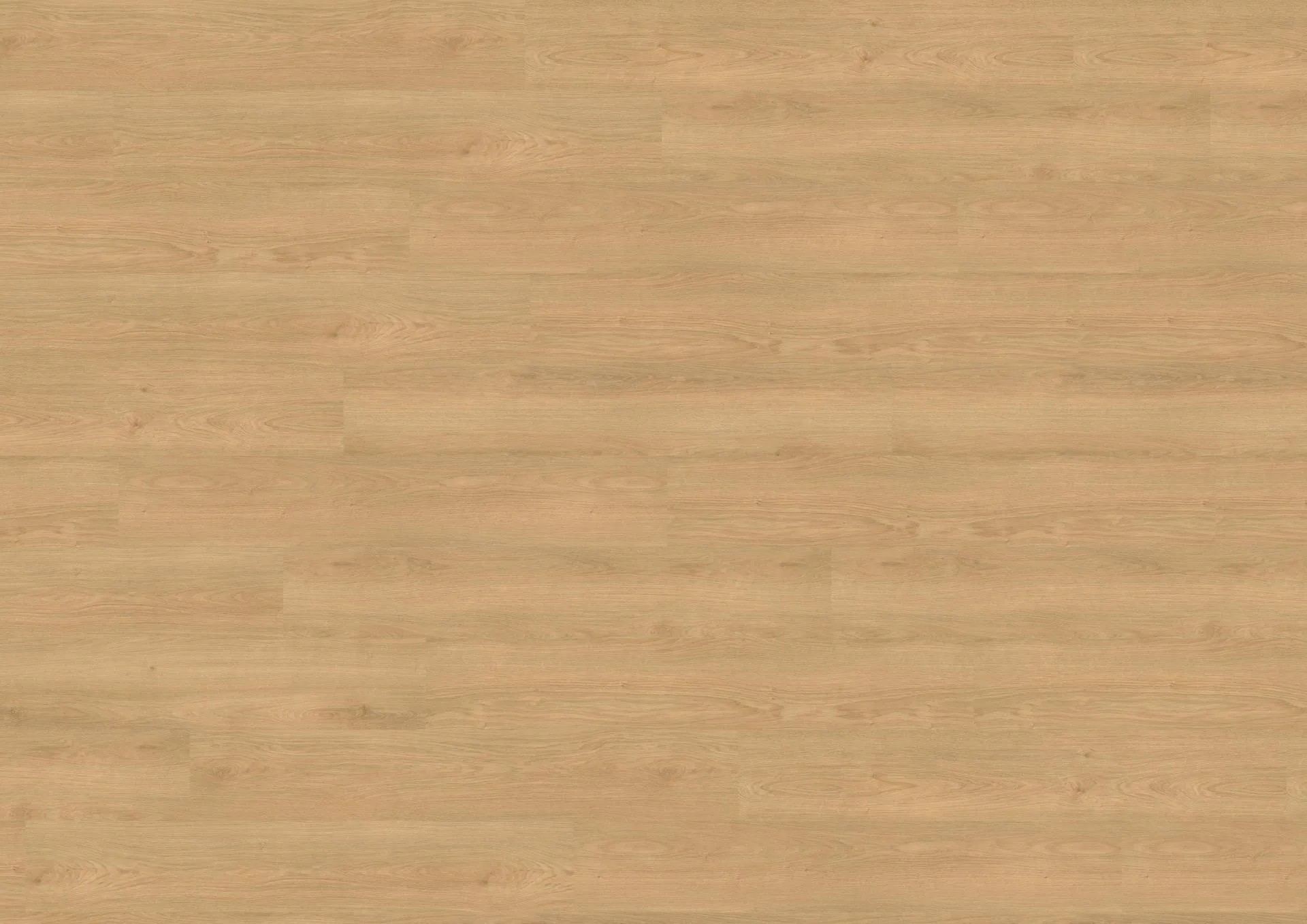 Siena Oak Honey - wineo 1500 - Görsel 2