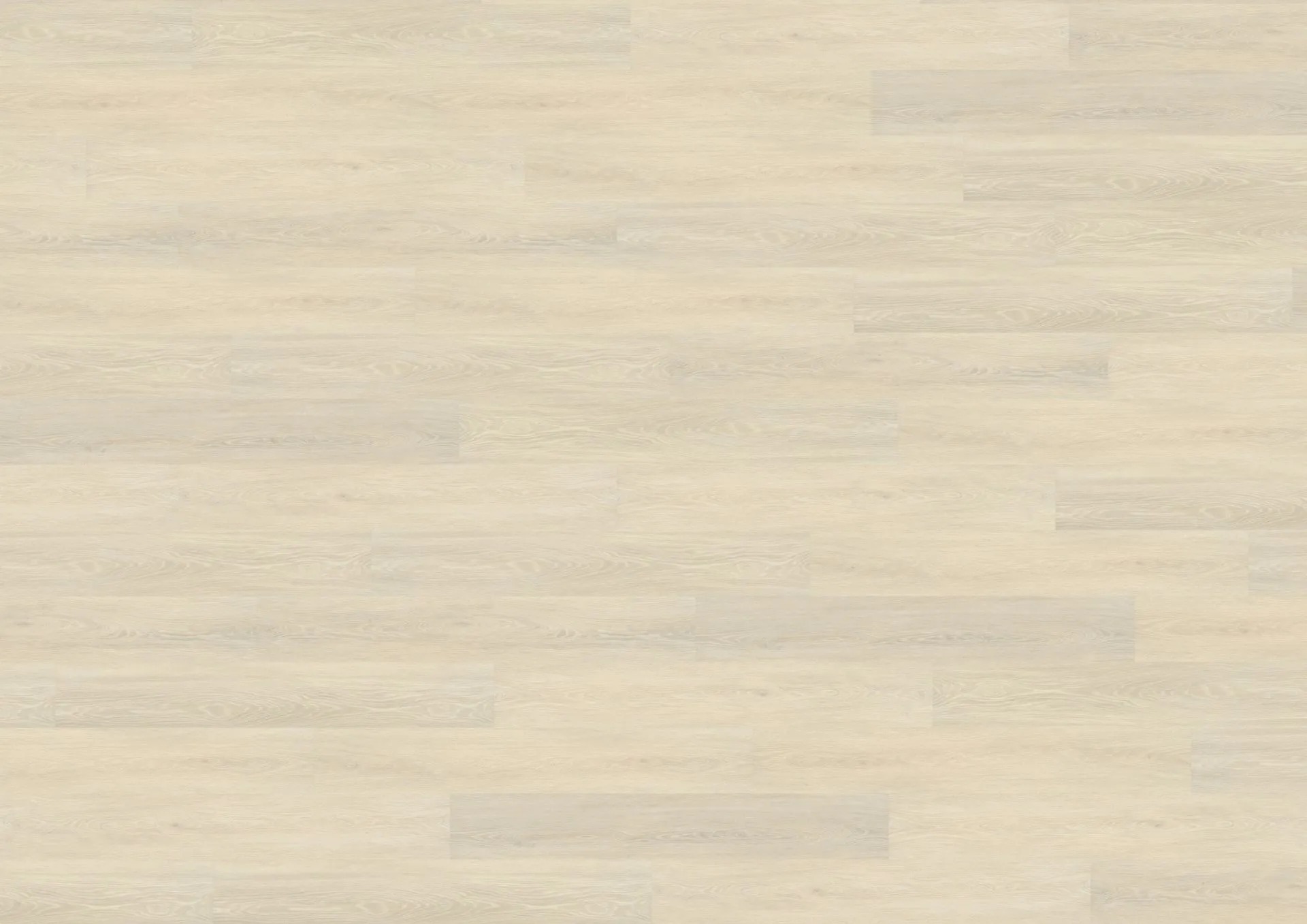 Visby Oak Cream | LVT Parke - Görsel 4