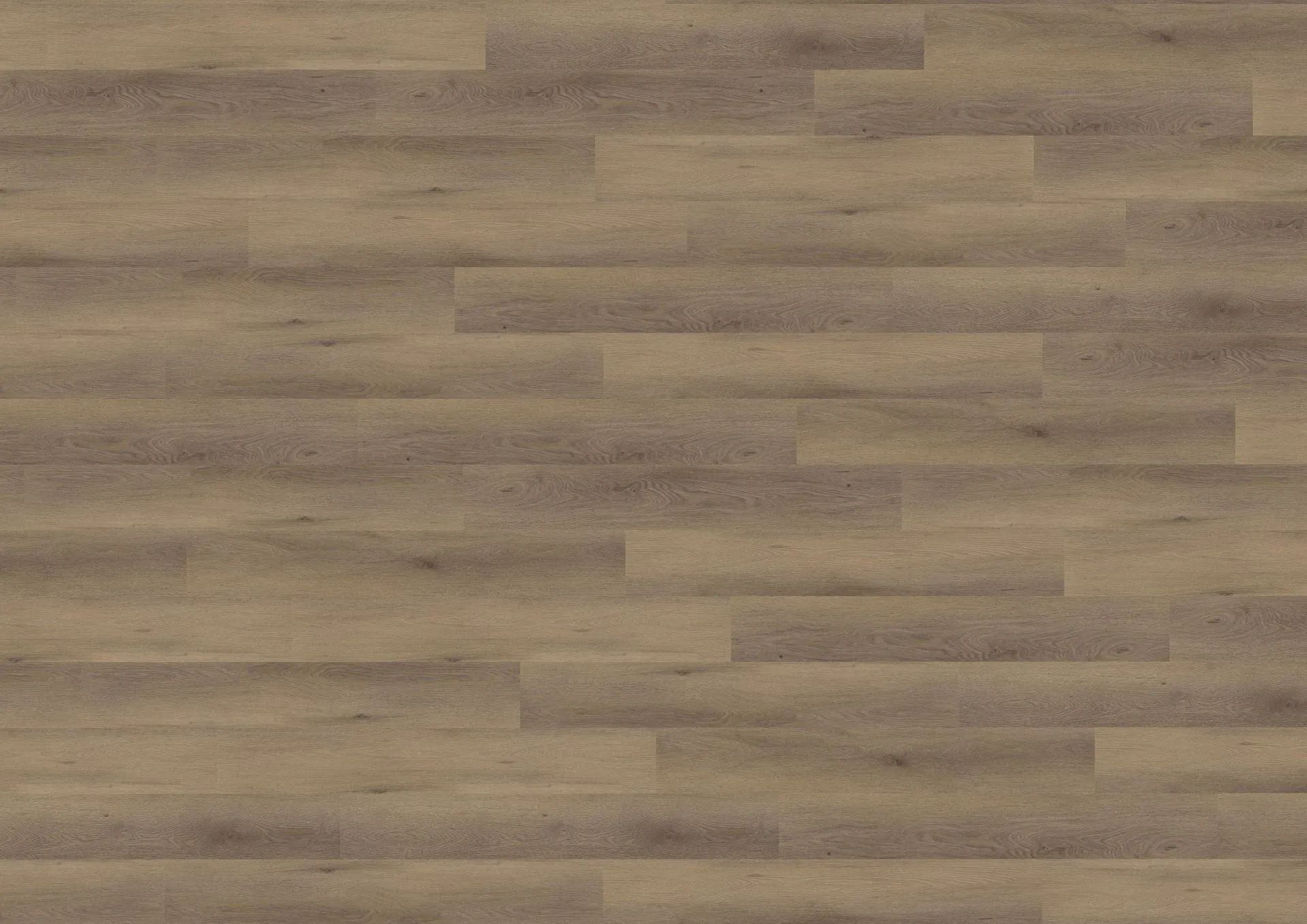 York Oak Brown | LVT Parke - Görsel 5