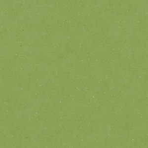 Aloe Green - wineo 1500 chip rulo