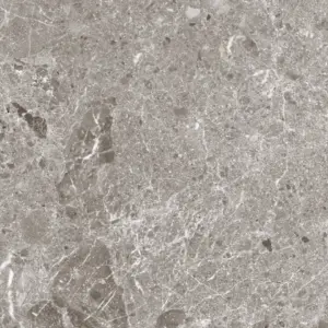 Artic Gris parlak Coverlam 5.6mm Porselen Plaka 60x120