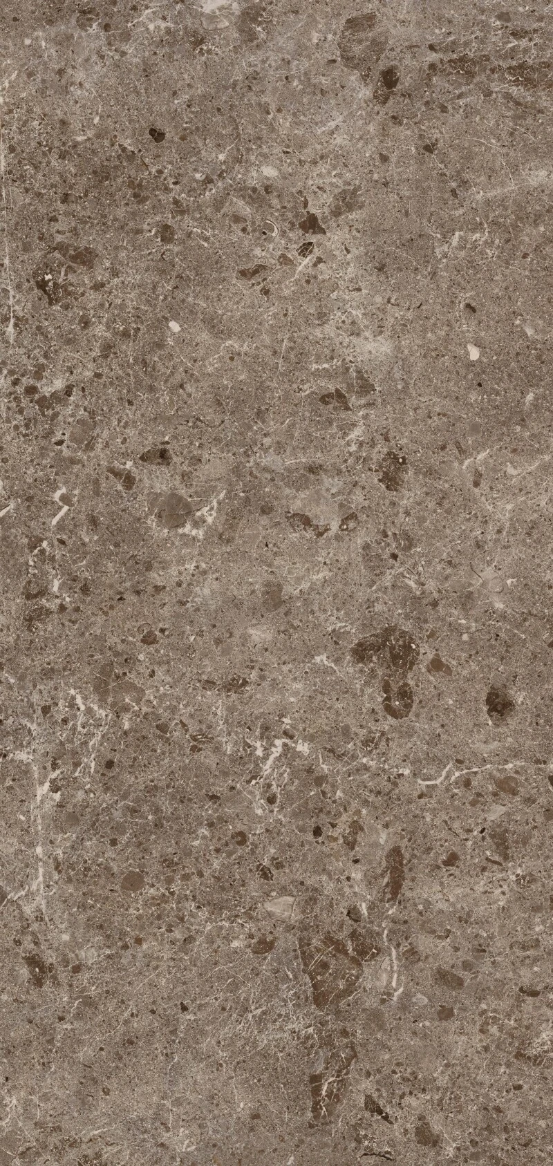 Artic Moka parlak Coverlam 5.6mm Porselen Plaka 120x260