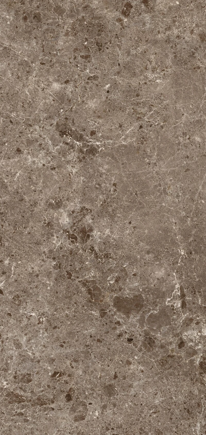 Artic Moka parlak Coverlam 5.6mm Porselen Plaka 120x260 - Görsel 2