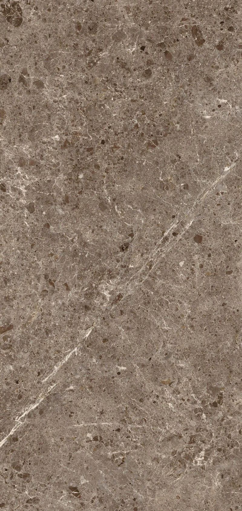 Artic Moka parlak Coverlam 5.6mm Porselen Plaka 120x260 - Görsel 3