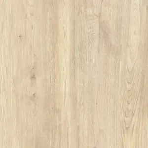 Jungla Abeto Coverlam 3.5mm Porselen Plaka 100x300