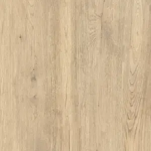 Jungla Cipres Coverlam 3.5mm Porselen Plaka 100x300