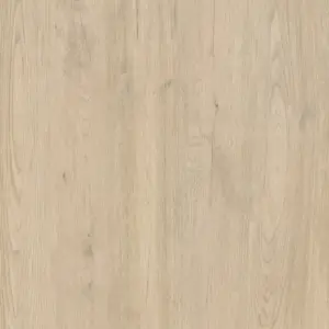 Jungla Abeto Coverlam 5.6mm Porselen Plaka 120x360