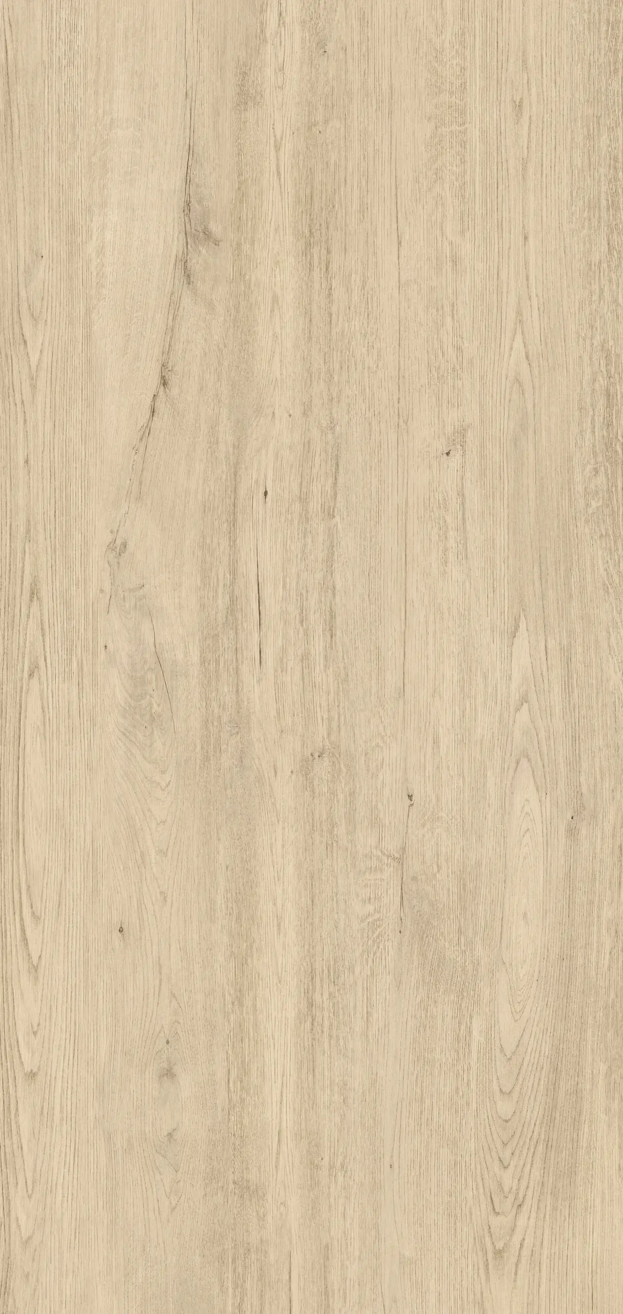 Jungla Cipres Coverlam 3.5mm Porselen Plaka 120x260