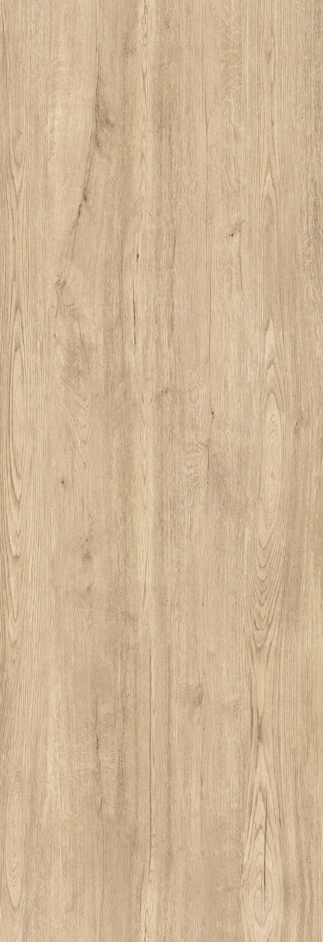 Jungla Cipres Coverlam 5.6mm Porselen Plaka 120x360