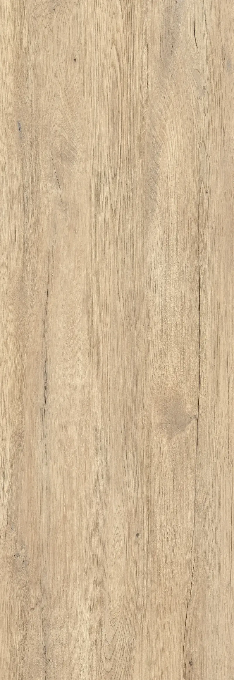 Jungla Cipres Coverlam 5.6mm Porselen Plaka 120x360 - Görsel 8