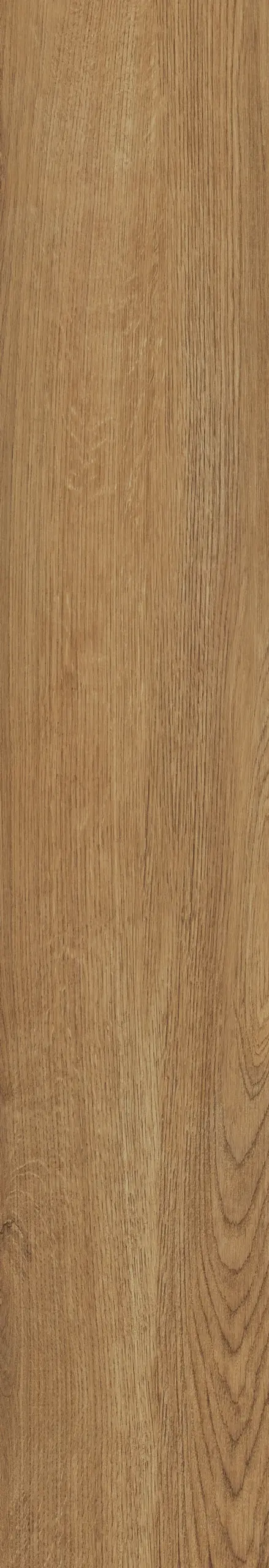 Jungla Iroko Coverlam 5.6mm Porselen Plaka 29.5x180