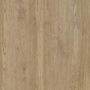 Jungla Roble Coverlam 5.6mm Porselen Plaka 120x360