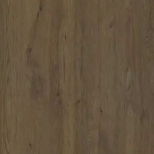 Jungla Teca Coverlam 3.5mm Porselen Plaka 120x260