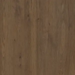 Jungla Teca Coverlam 5.6mm Porselen Plaka 120x360